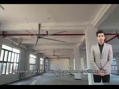 5.0M 16FT große Ventilatoren für eine optimale Luftzirkulation in Schulen und Gymnasien