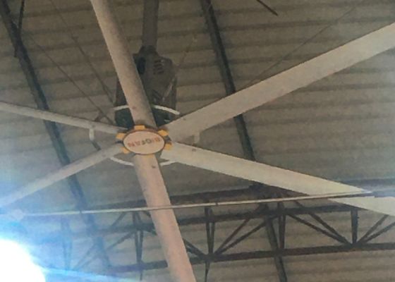 Ein guter Preis. 7.3m Industrieller Riesendeckenventilator für Indoor Basketball Court Kühlventilation Online