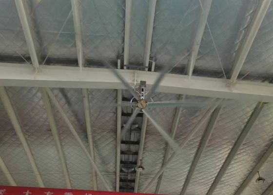 Ein guter Preis. 1.5kw PMSM Motor Al Mg Legierung Riesendeckenventilatoren 380AC Für Indoor-Sportraum Online