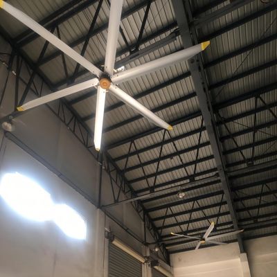 Ein guter Preis. Restaurant Deckenventilator Montage 5,0m 16FT BLCD Motor HVLS Lüfter für große Lagerhallen Online
