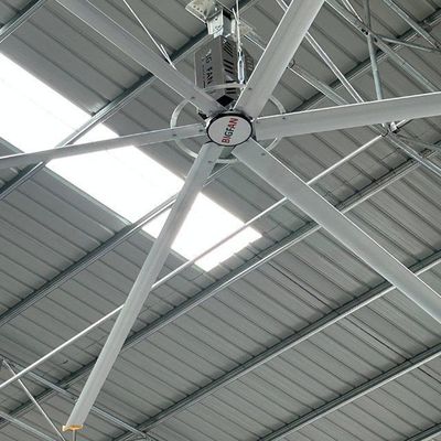 Ein guter Preis. 7.3m 24FT großer Industrieventilations- und Kühlventilator aus China Online