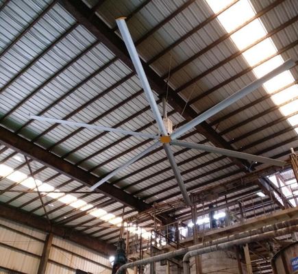 Ein guter Preis. Große Luftkühler als Auspuffventilator für Lagerkühlung Online