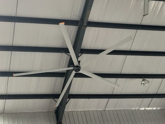 Ein guter Preis. Basketball-Sportzentrum 5.4M 17ft 1.5KW Langblatte Deckenventilator Online